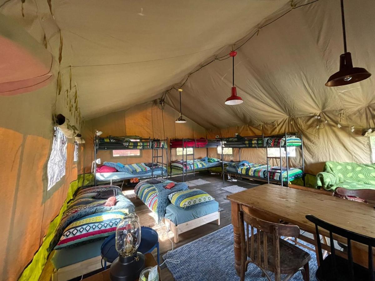 Eco-Camping De Helleborus, Yurt, Bell & Safari Tent, Pipo, Caravans, Dorms And Units Гронинген Экстерьер фото