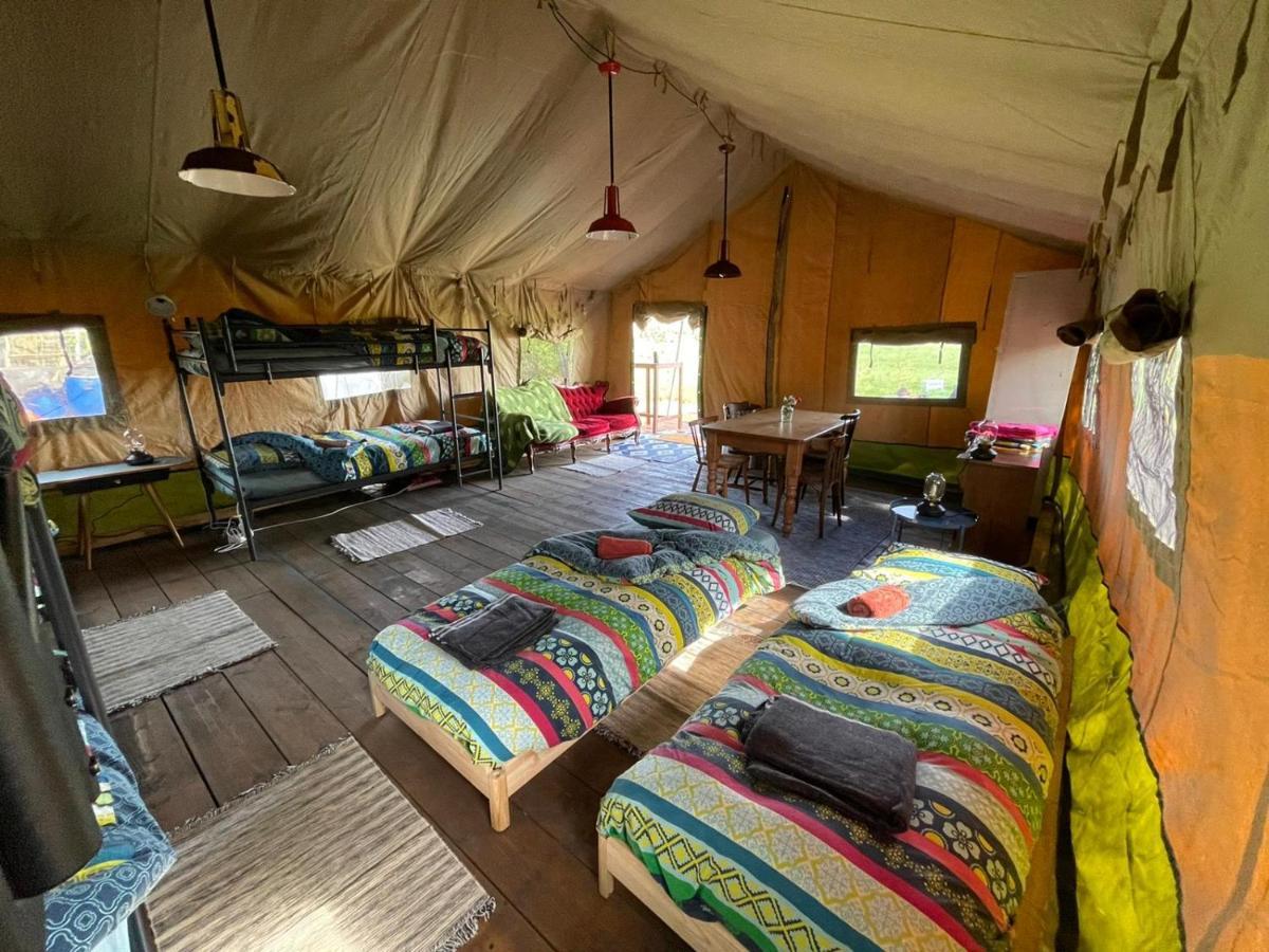 Eco-Camping De Helleborus, Yurt, Bell & Safari Tent, Pipo, Caravans, Dorms And Units Гронинген Экстерьер фото
